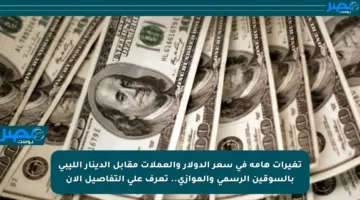 تغيرات هامة في سعر الدولار والعملات مقابل الدينار الليبي بالسوقين الرسمي والموازي.. تعرف على التفاصيل الآن